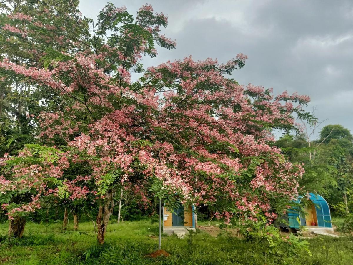 Forest Breath Eco-Lodge Cat Tien Bagian luar foto