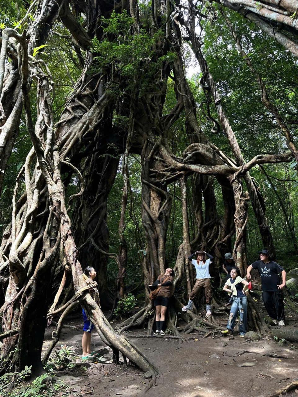 Forest Breath Eco-Lodge Cat Tien Bagian luar foto